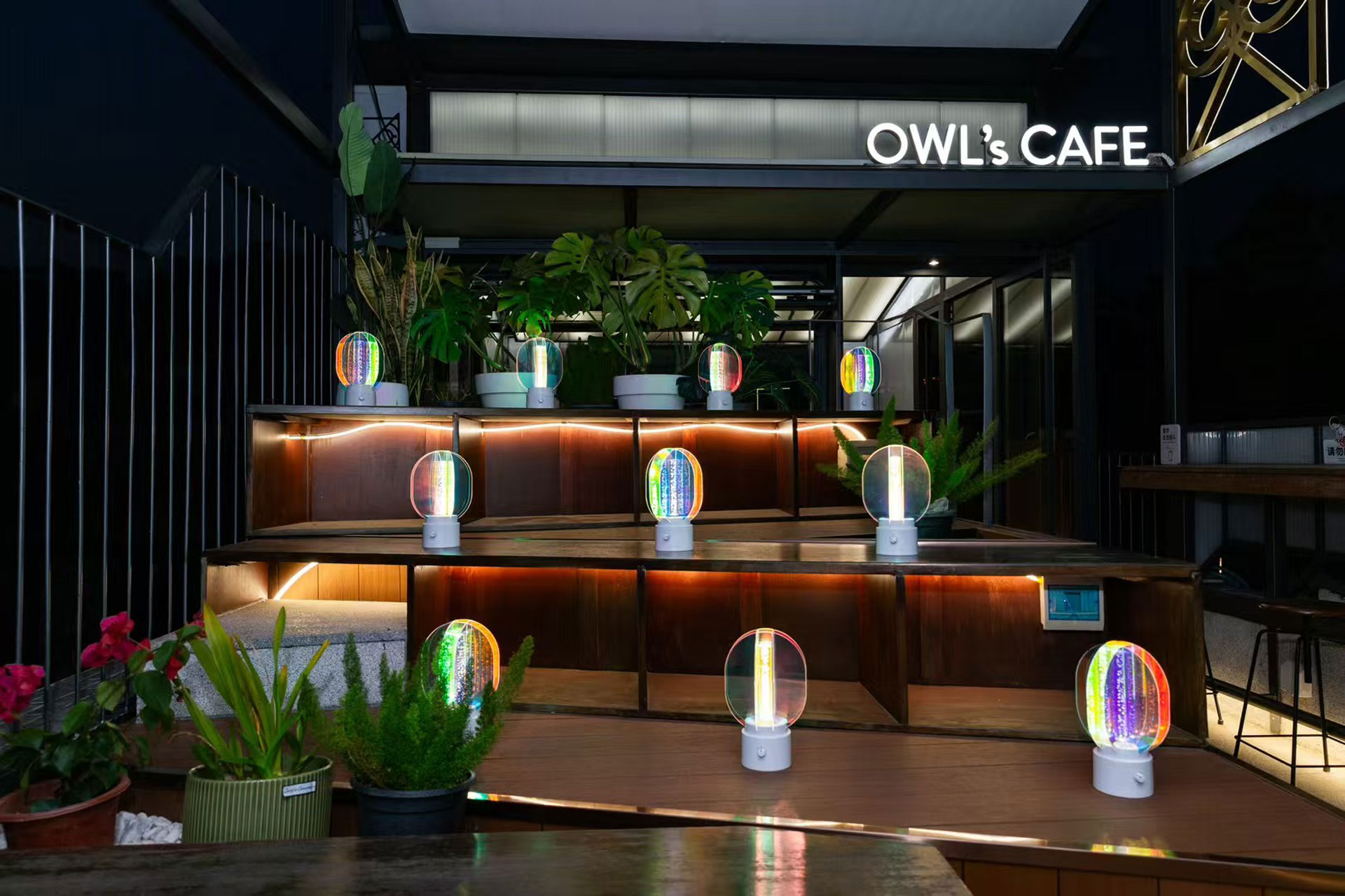 ANORA Hero Background